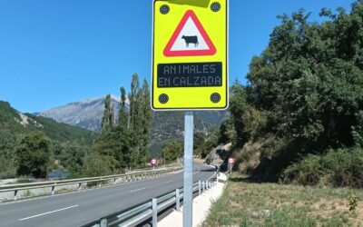 Sistemas inteligentes para reducir los accidentes provocados por fauna en carretera